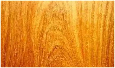 全球名貴木材鑒賞 從紫檀到沉香，您識得幾種？