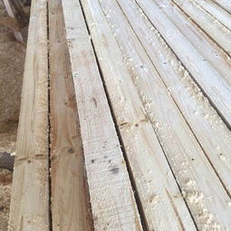 白松建筑木材市場報價淺析——以順通木材3米、4米規格為例